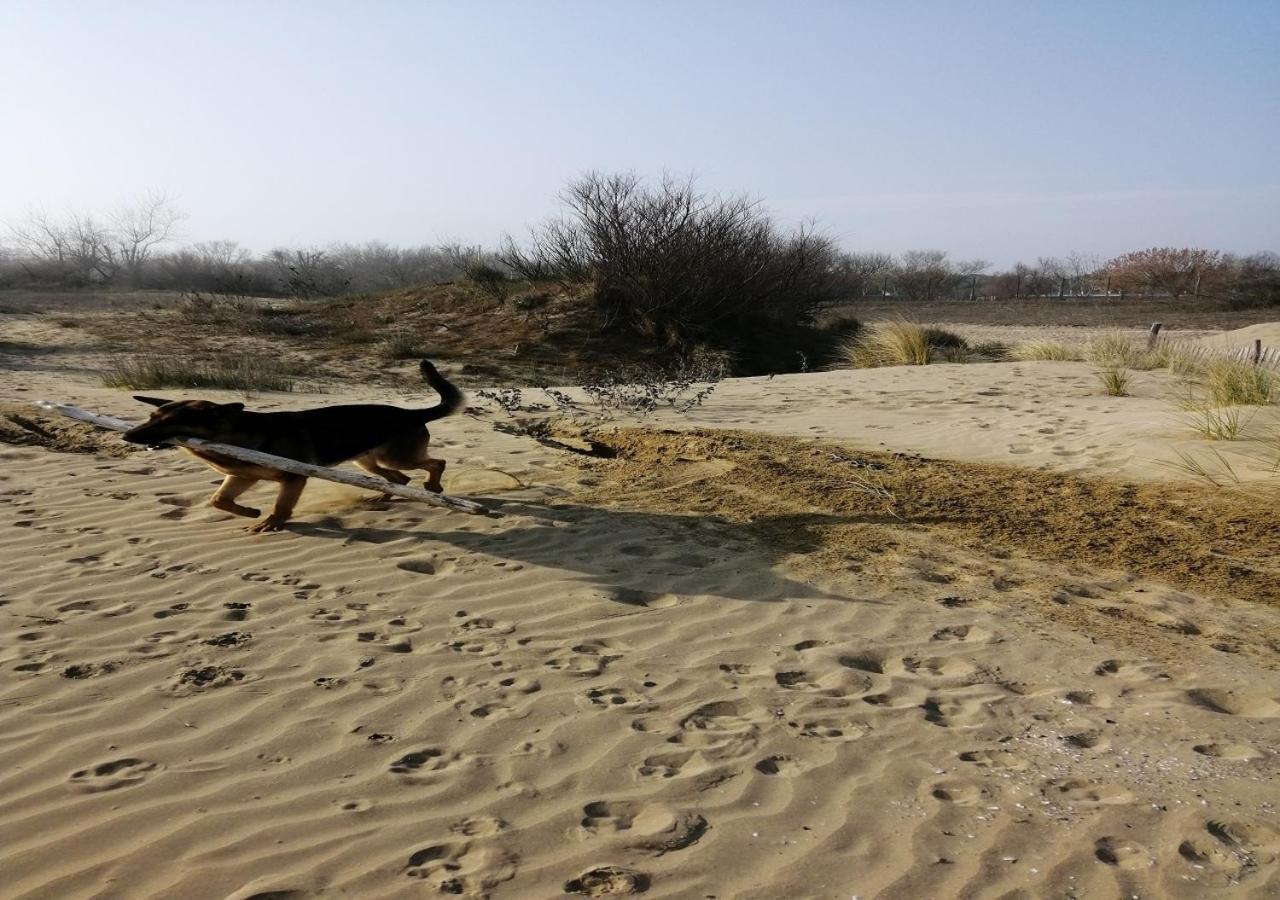 Alloggi Al Mare 7 Cavallino-Treporti Εξωτερικό φωτογραφία